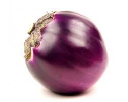 aubergine-ronde
