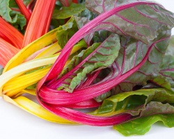 blette_couleur_1167089137