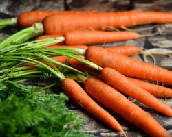 carrots-g8dc9fda23_1920