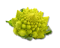 chou-romanesco1