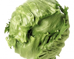 iceberg