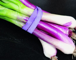 oignon_rouge_205319957