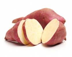 patate_douce_blanche