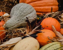 pexels-eva-bronzini-6073197