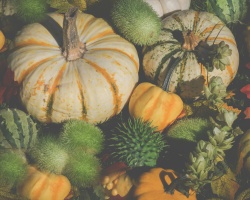 pexels-nietjuh-1456126