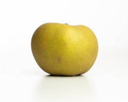pomme-reinette-grise-du-canada