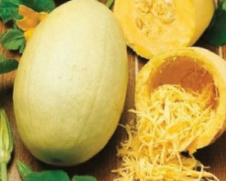vegetable-spaghetti-squash