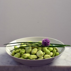 beans-ge700a8c55_1920
