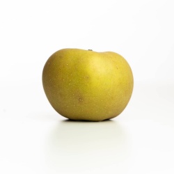 pomme-reinette-grise-du-canada