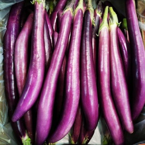 aubergine_japonaise