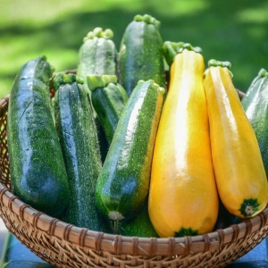 courgette_surprise