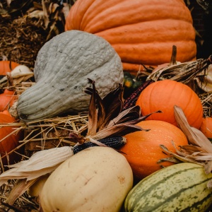 pexels-eva-bronzini-6073197