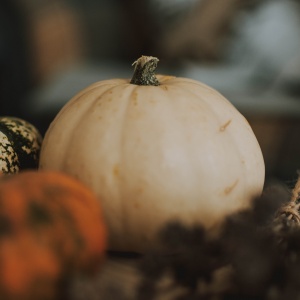 pexels-lilartsy-3050836