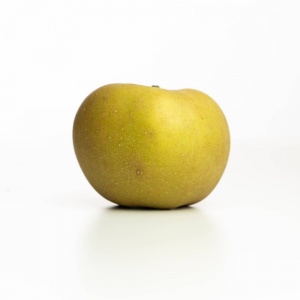 pomme-reinette-grise-du-canada