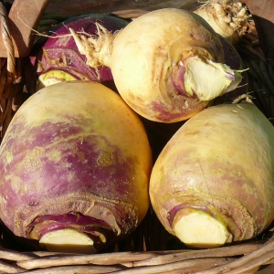 rutabaga